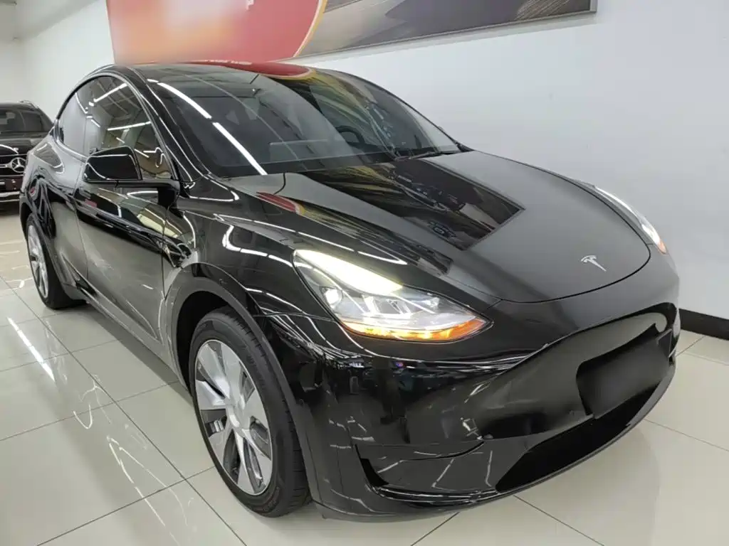 Tesla Model Y — миниатюра 4