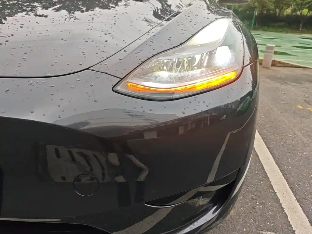 Tesla Model Y — миниатюра 24