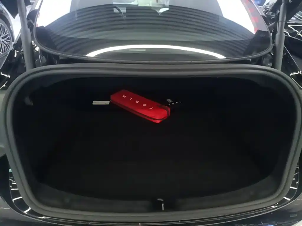 Tesla Model 3 — миниатюра 19