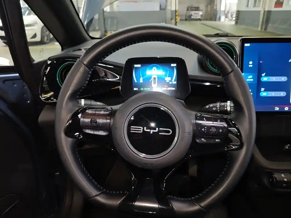 BYD Dolphin — миниатюра 11
