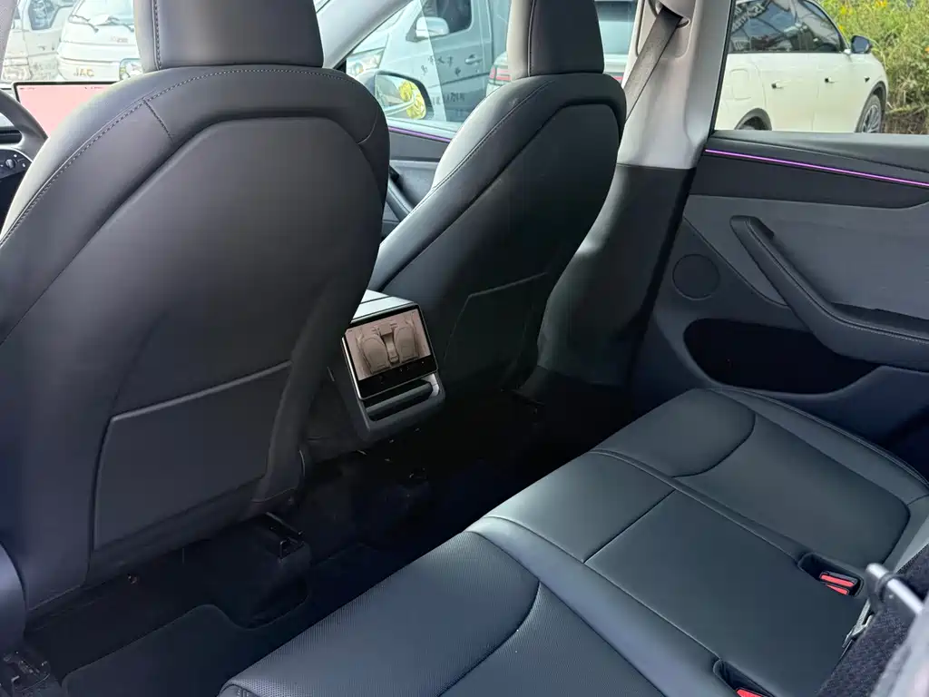 Tesla Model Y — миниатюра 14