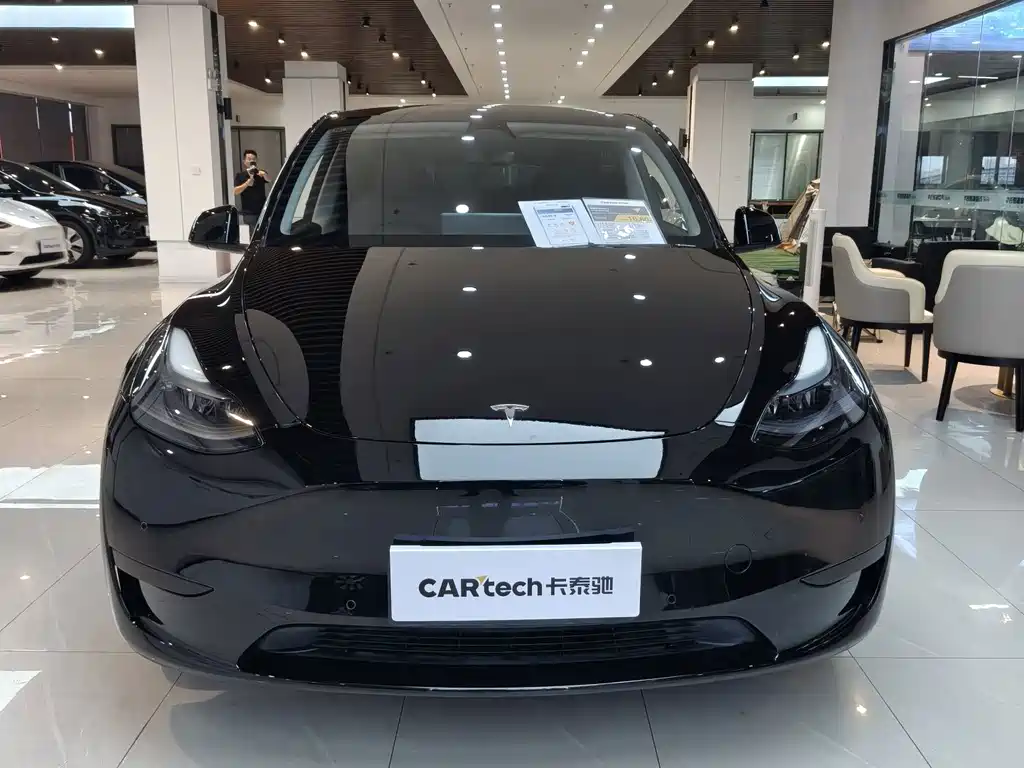 Tesla Model Y — миниатюра 2