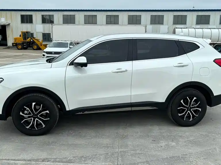 Haval H6 — миниатюра 2