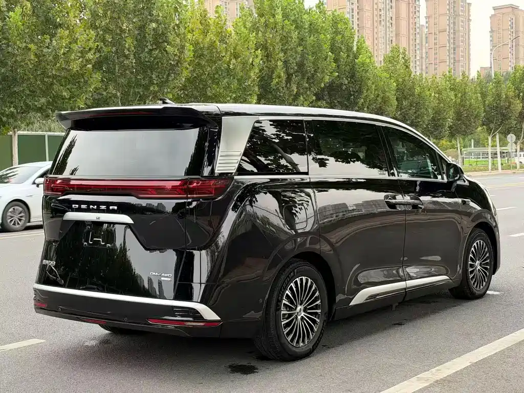Denza Denza D9 — миниатюра 21