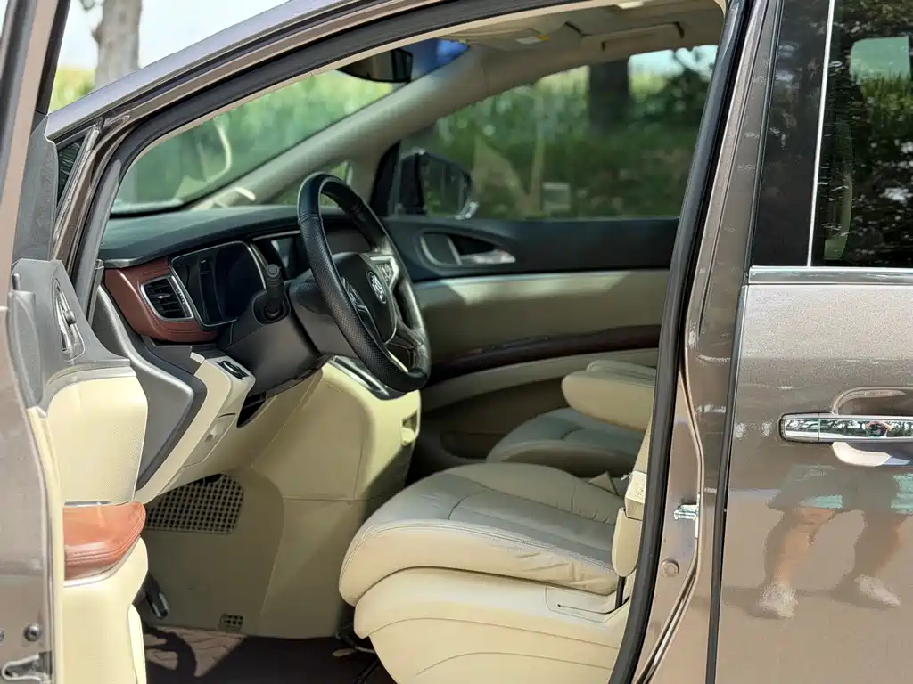 Buick GL8 — миниатюра 8