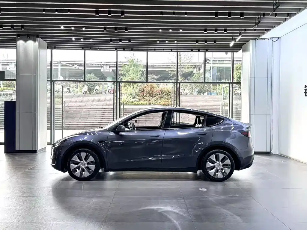 Tesla Model Y — миниатюра 7