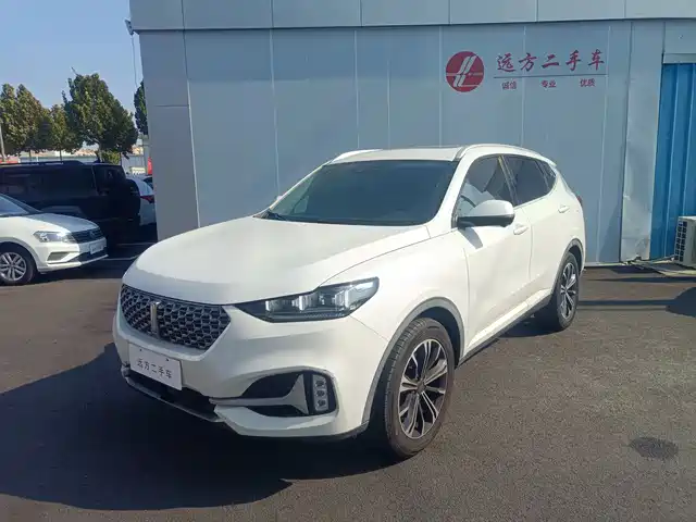 WEI PAI WEI BRAND VV6