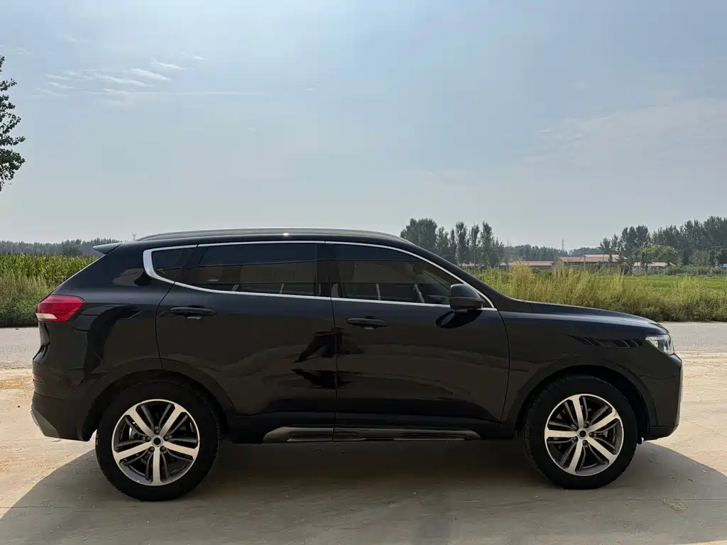 Haval H6 — миниатюра 8