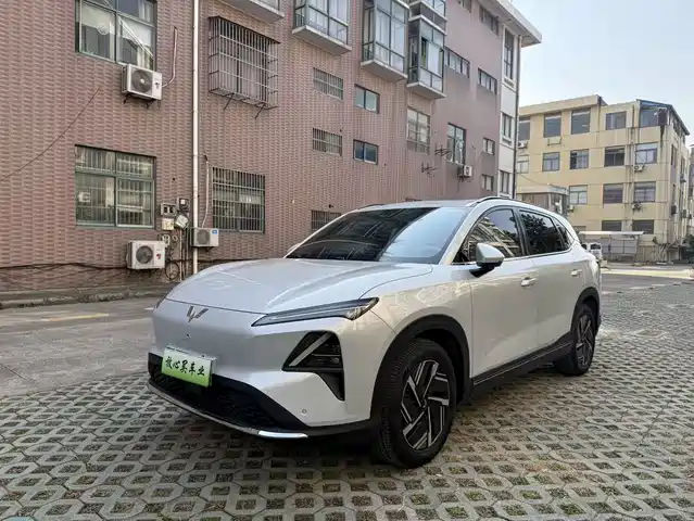 WULING WULING XINGGUANG S 2024