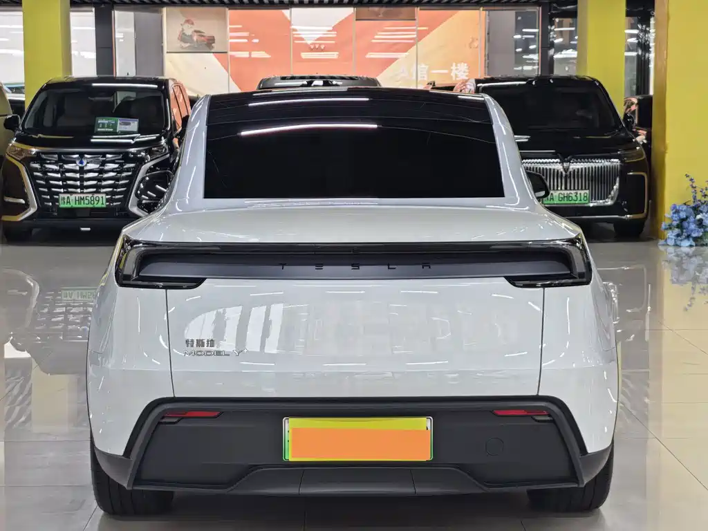Tesla Model Y — миниатюра 16