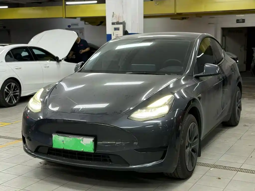 Tesla Model Y — миниатюра 5