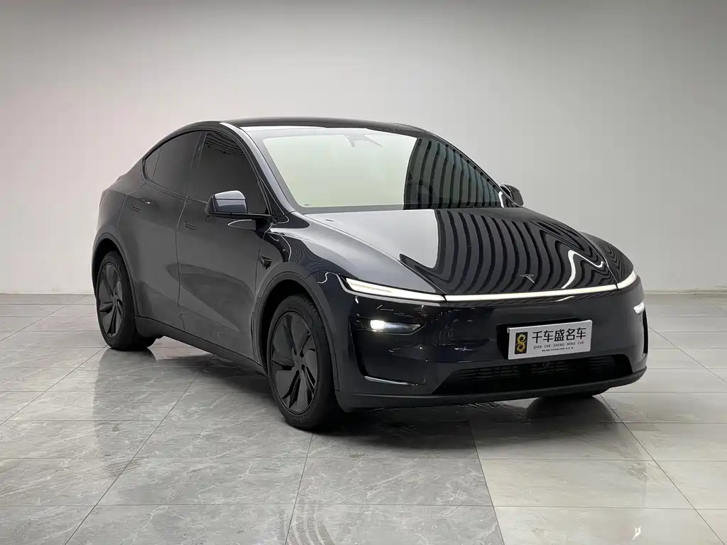 Tesla Model Y — миниатюра 3