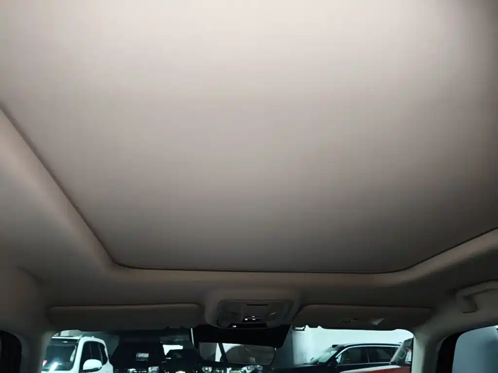 Haval Big Dog PLUS New Energy — миниатюра 18
