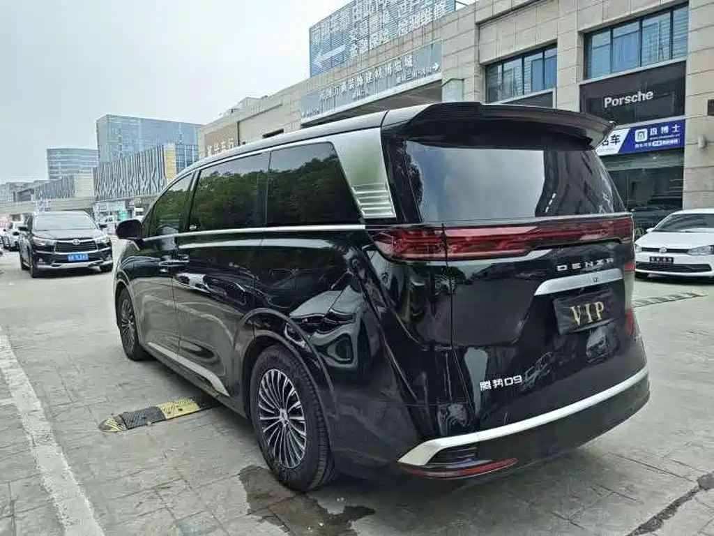 Denza Denza D9 — миниатюра 2