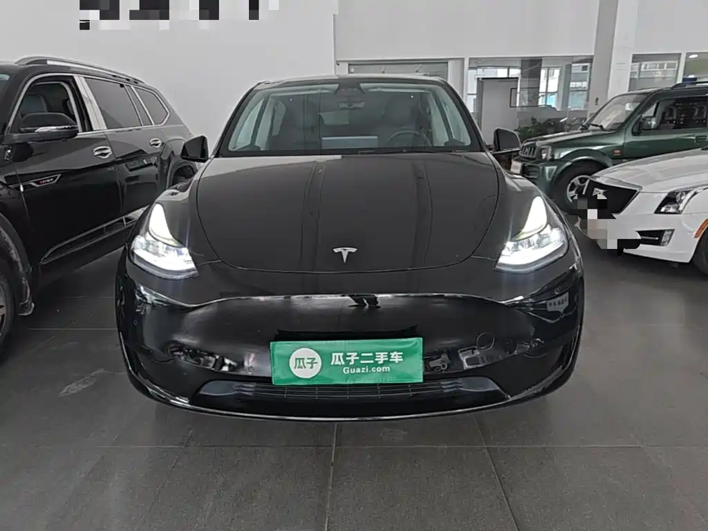 Tesla Model Y — миниатюра 3