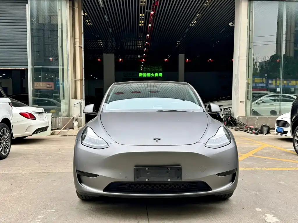 Tesla Model Y — миниатюра 2