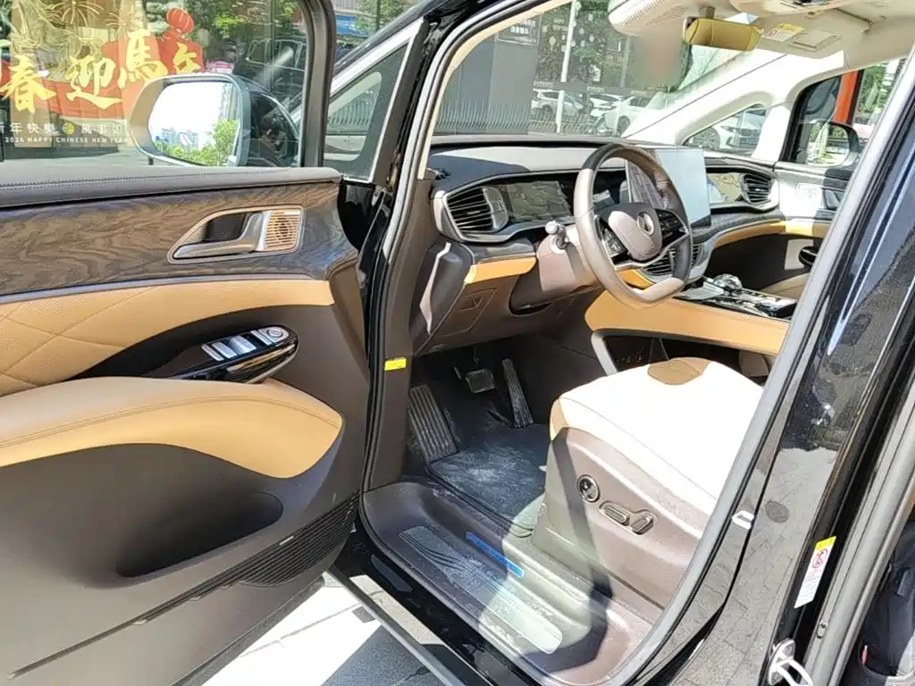 Denza Denza D9 — миниатюра 16