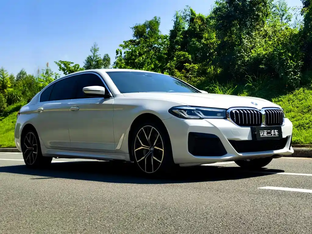BMW 5 Series — миниатюра 3