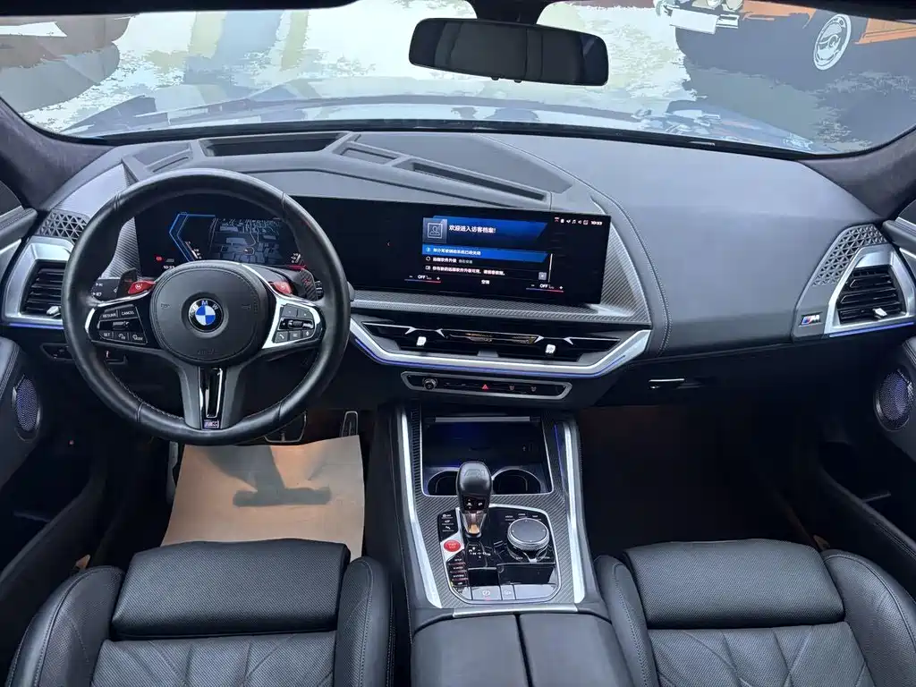 BMW XM Basic Type, фото 12