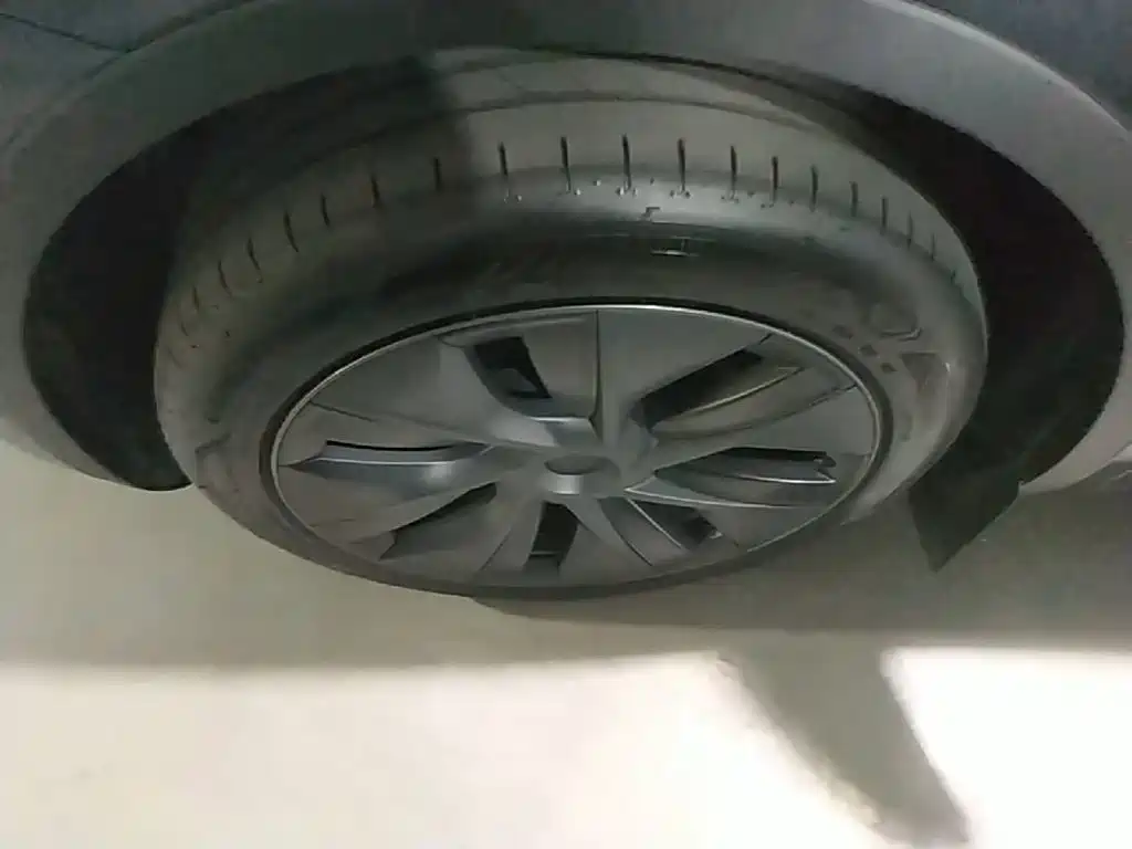 Tesla Model Y — миниатюра 23