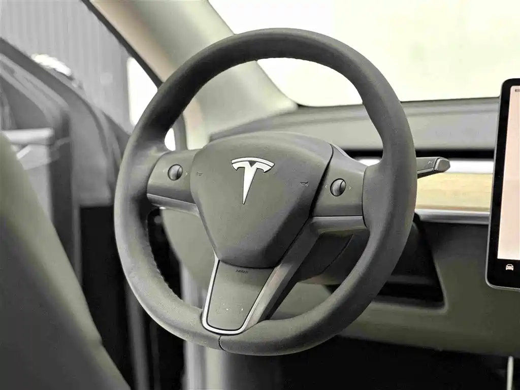 Tesla Model Y — миниатюра 12