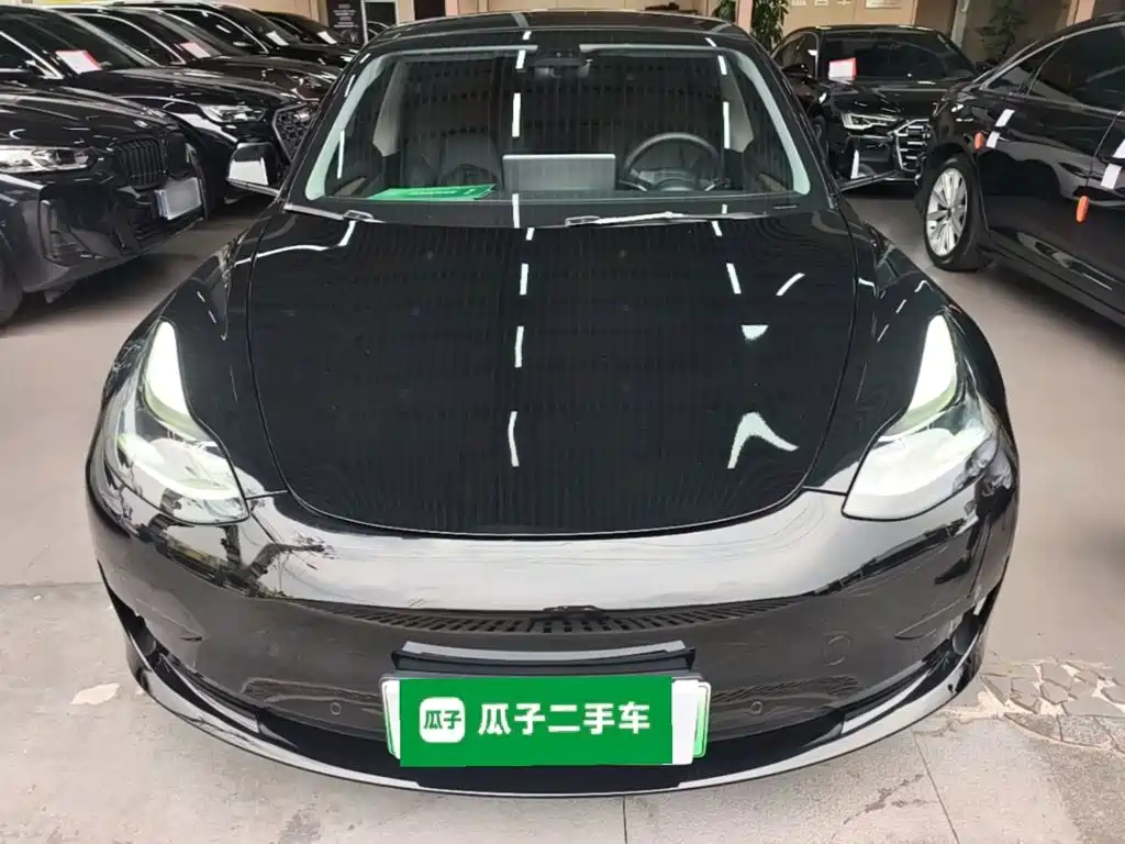 Tesla Model 3 — миниатюра 3