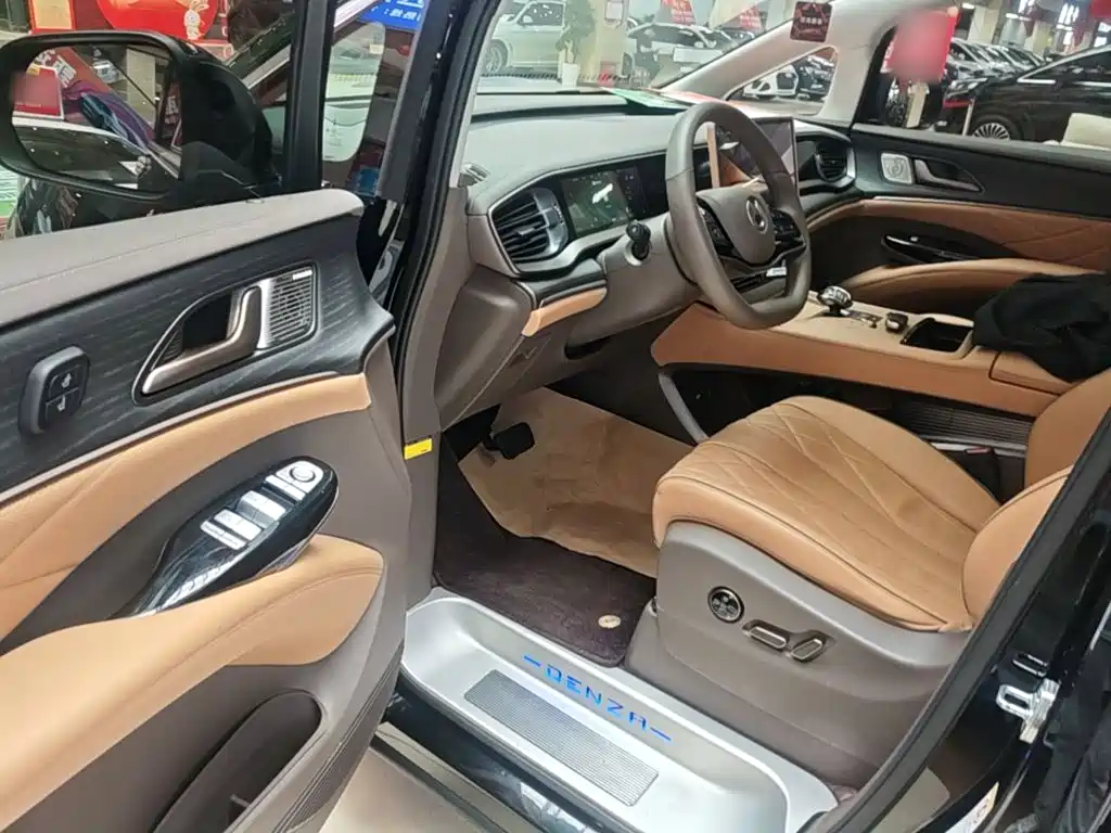 Denza Denza D9 — миниатюра 16