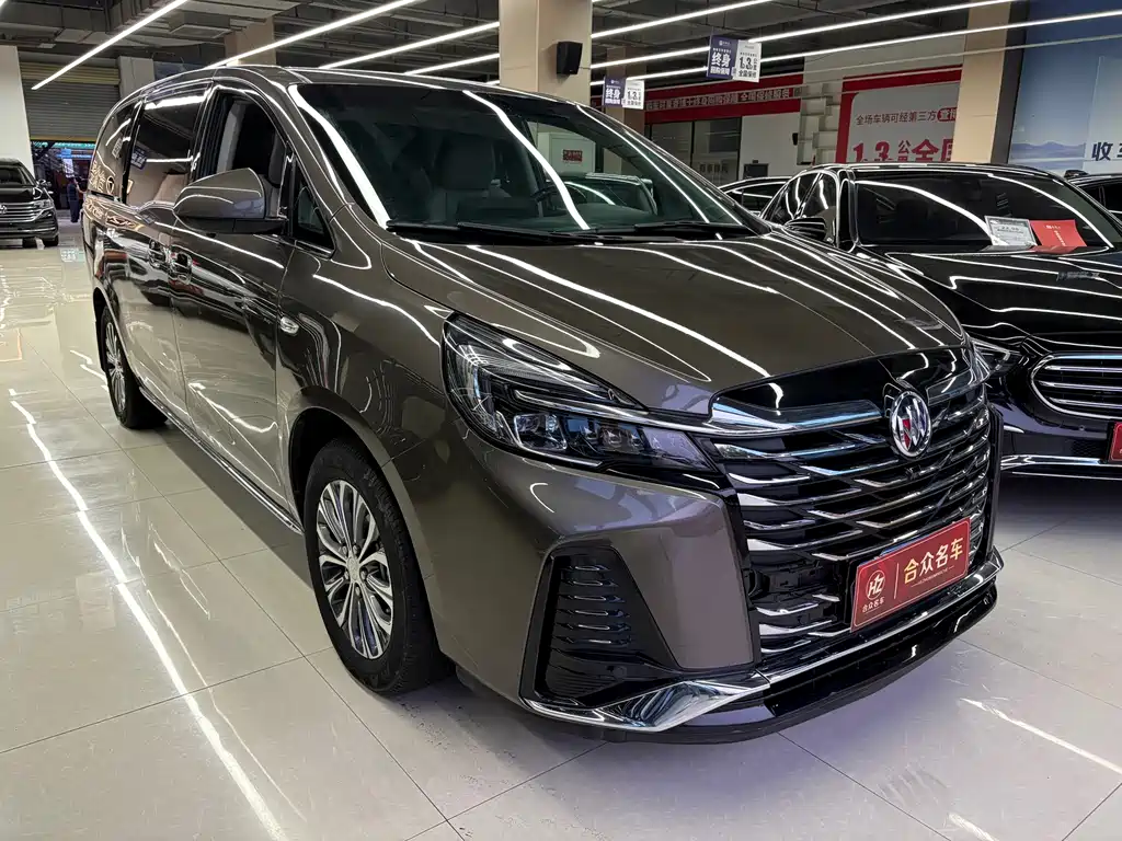 Buick GL8 — миниатюра 3