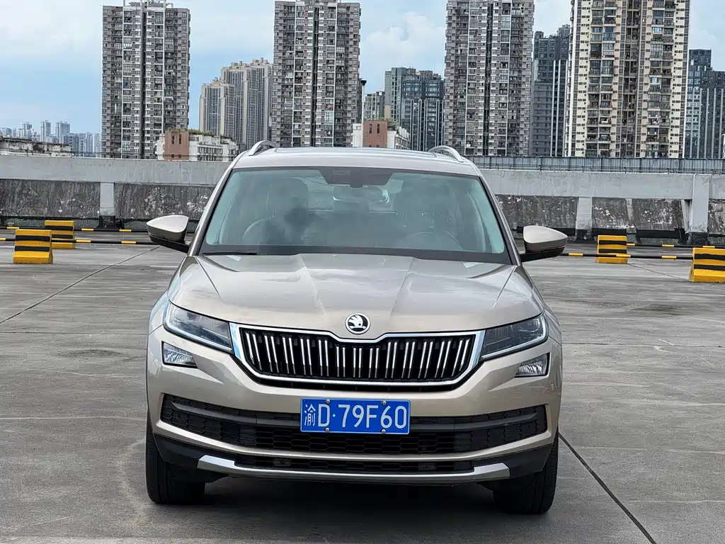Skoda Kodiaq TSI330 7 seats 2WD Luxury Premium Enjoy Edition, фото 2