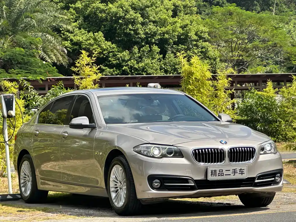 BMW 5 Series — миниатюра 3