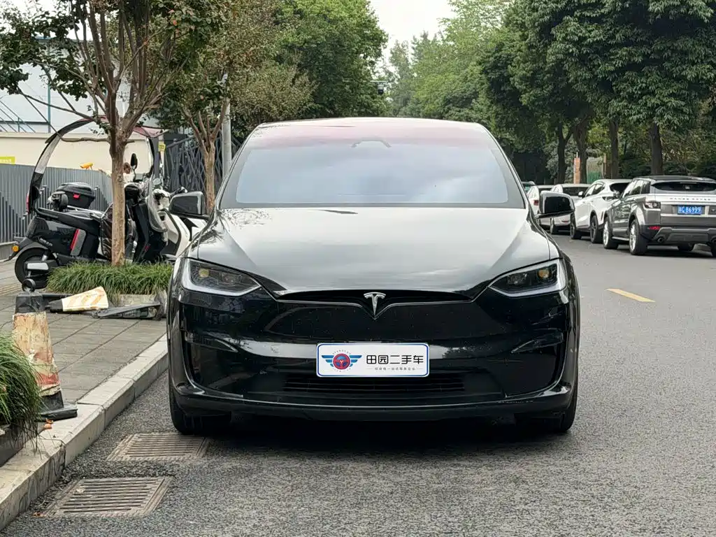 Tesla Model X — миниатюра 2