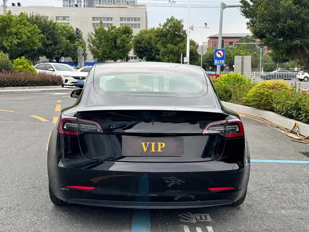 Tesla Model 3 — миниатюра 4