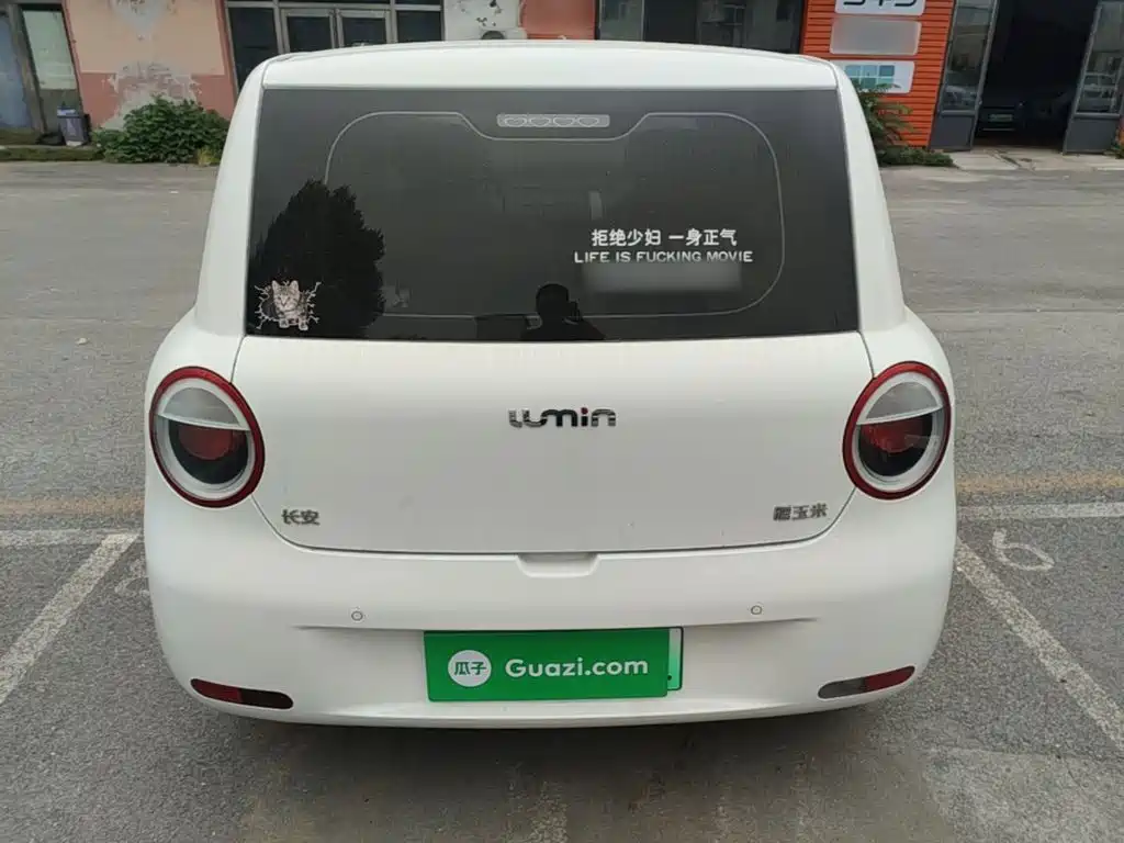 Qiyuan Lumin — миниатюра 6