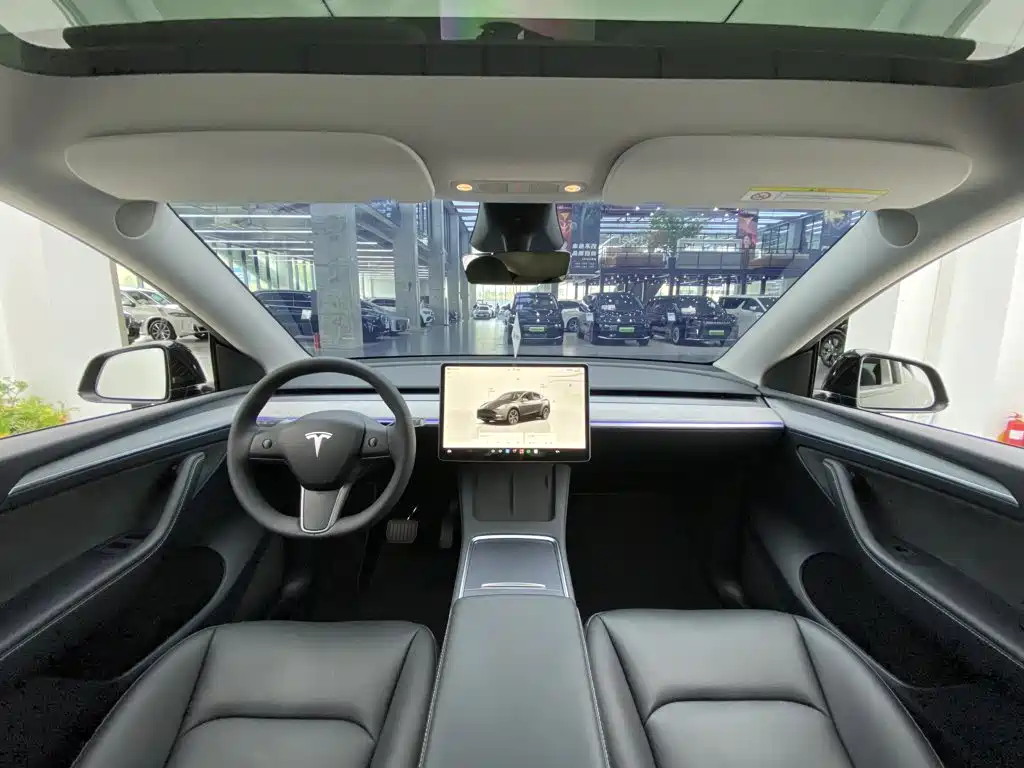 Tesla Model Y — миниатюра 33