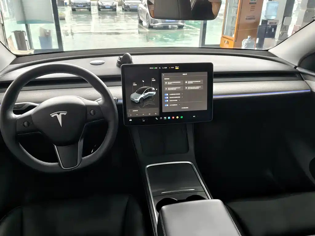 Tesla Model Y — миниатюра 10