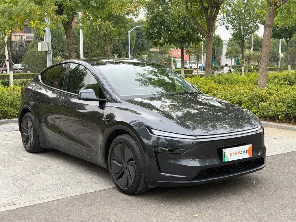 Tesla Model Y — миниатюра 3