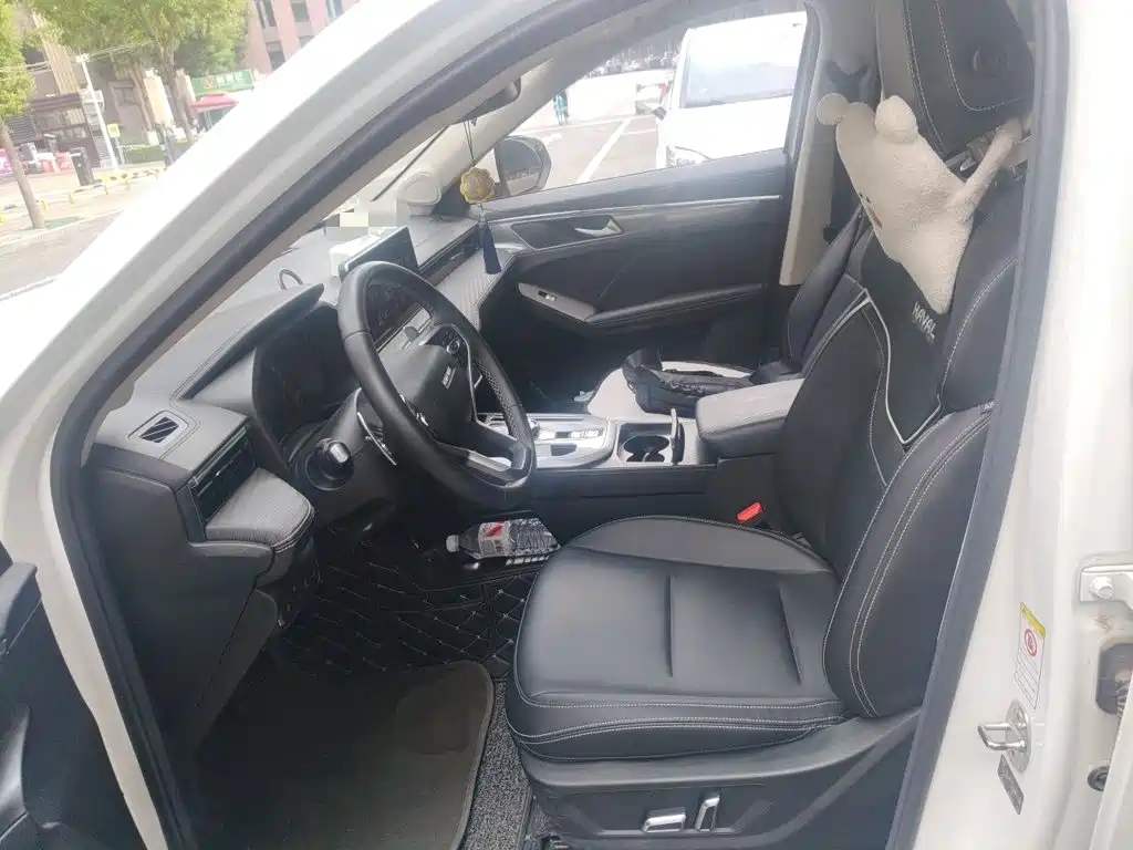 Haval Chulian — миниатюра 11
