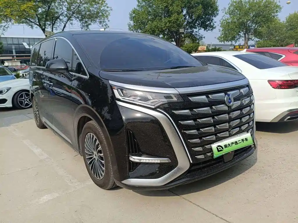 Denza Denza D9 — миниатюра 3
