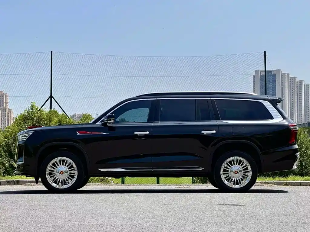 Hongqi Hongqi Golden Sunflower Guoyao — миниатюра 9
