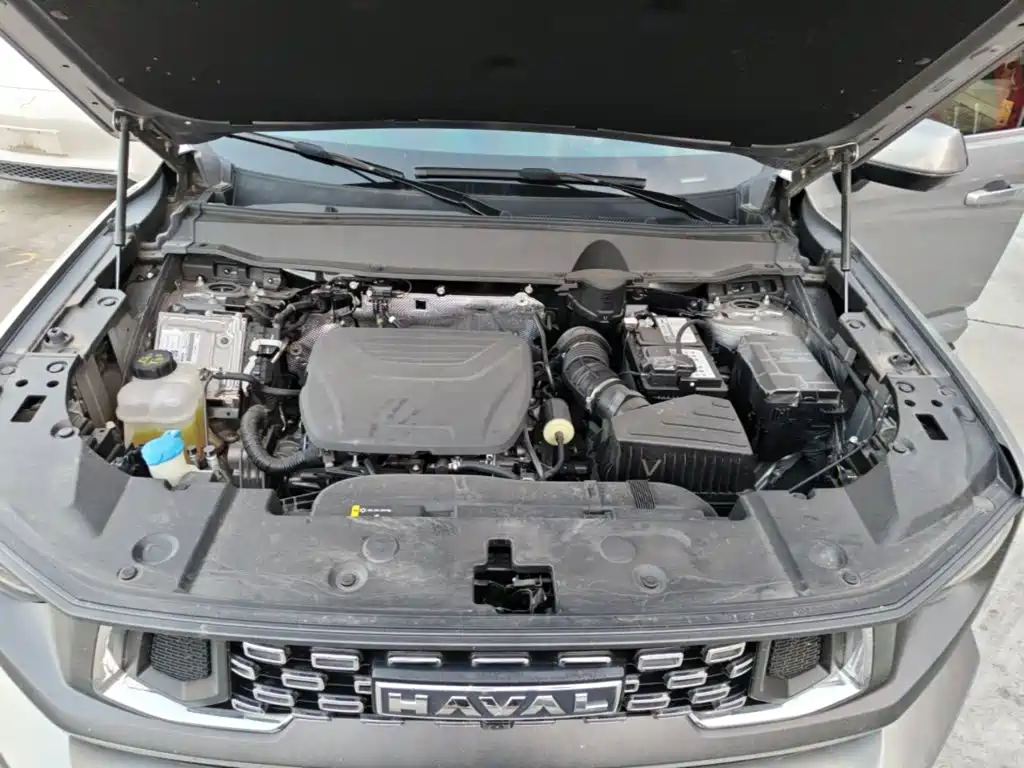 Haval Big Dog PLUS — миниатюра 20