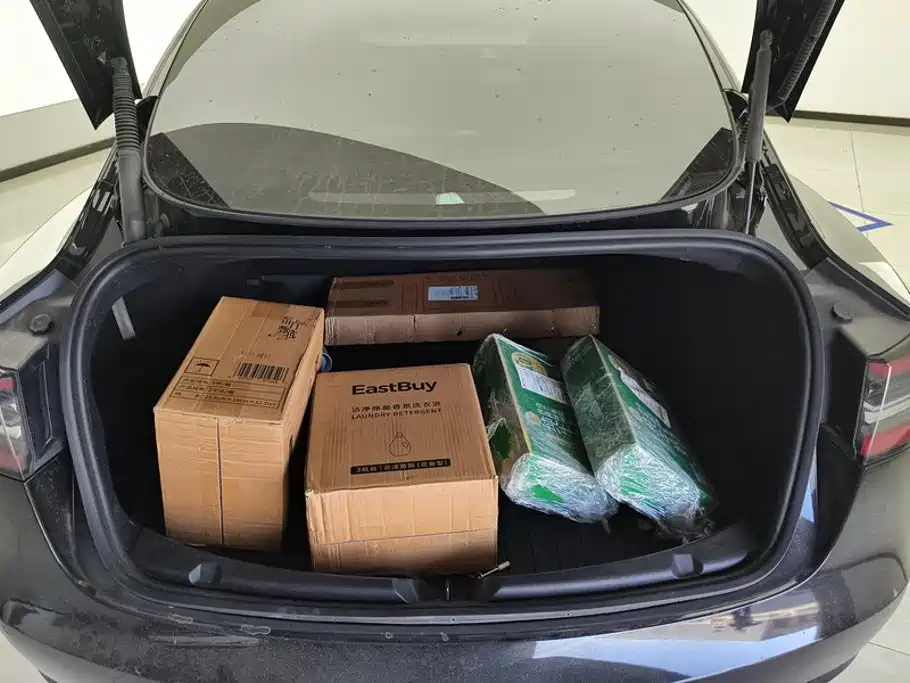 Tesla Model 3 — миниатюра 4