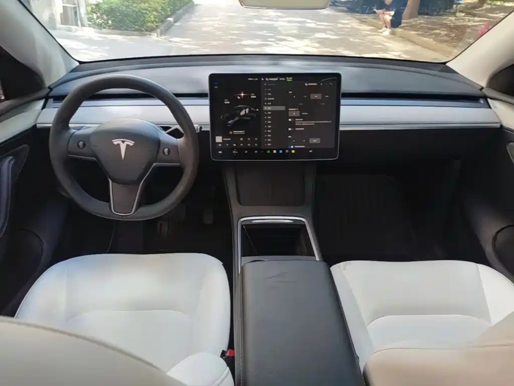 Tesla Model Y — миниатюра 10