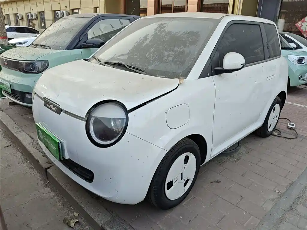 Qiyuan Lumin 2025