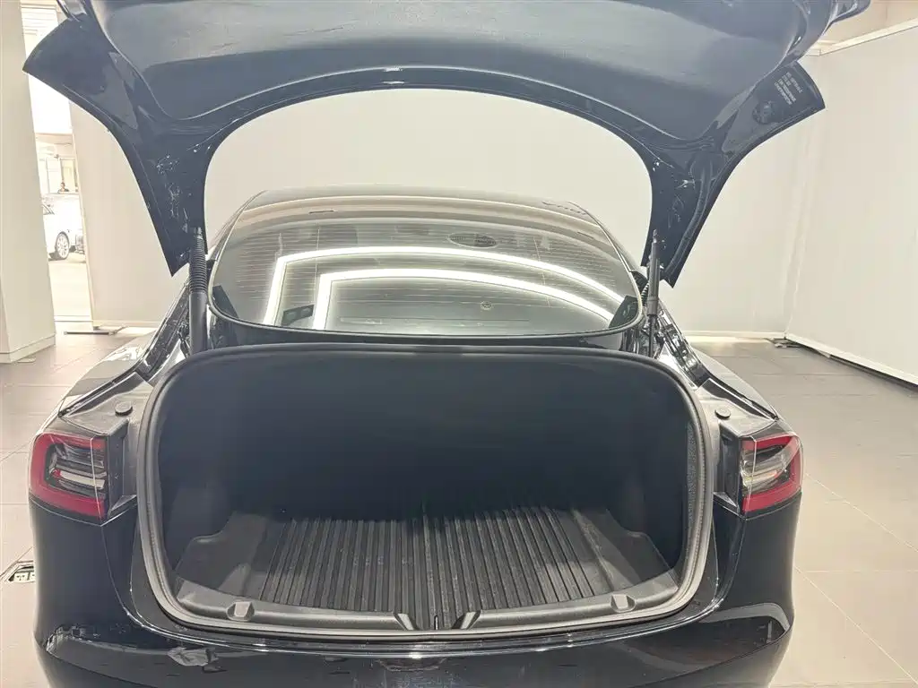 Tesla Model 3 — миниатюра 9