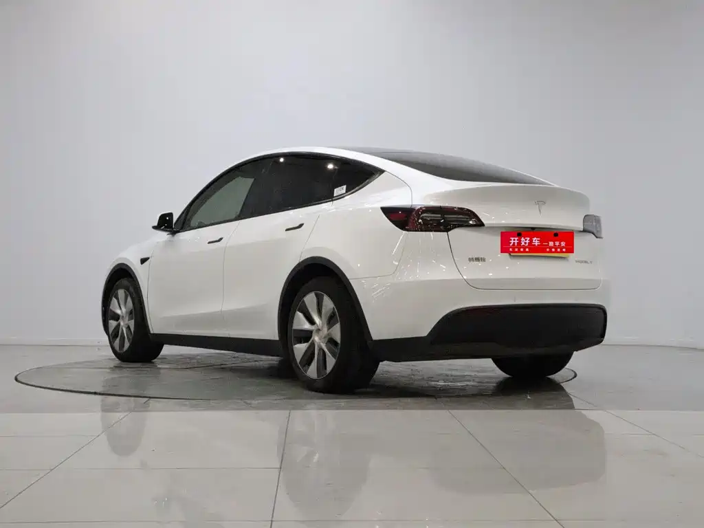 Tesla Model Y — миниатюра 6
