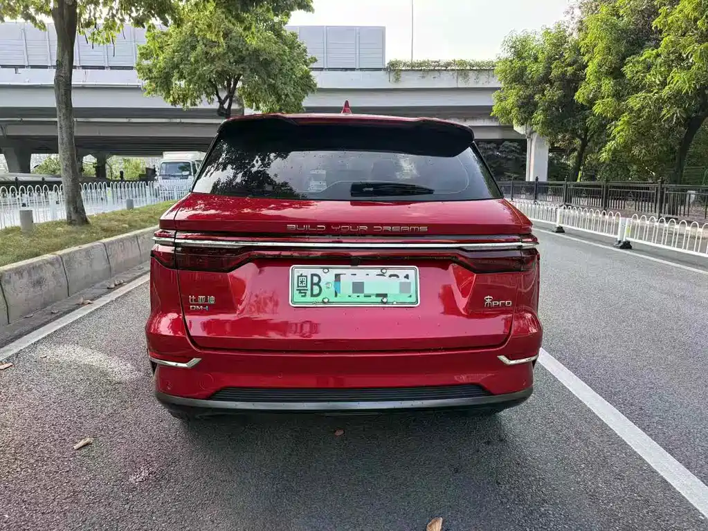 BYD Pro New Energy — миниатюра 5