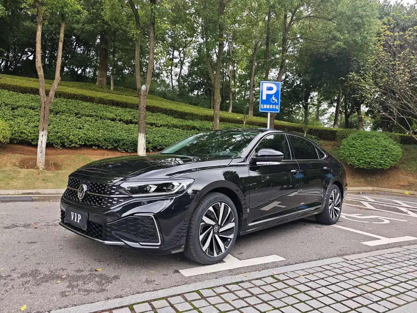 帕萨特 2023款 330TSI 精英版 2023