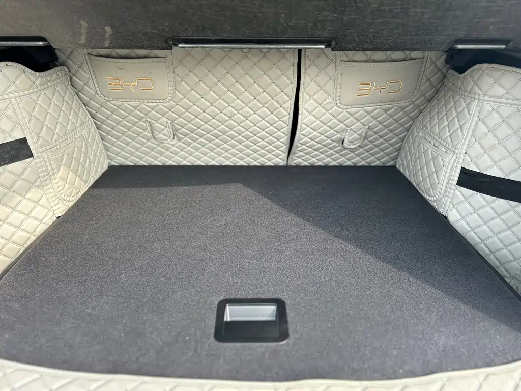 BYD SONGJIANG NEW ENERGY