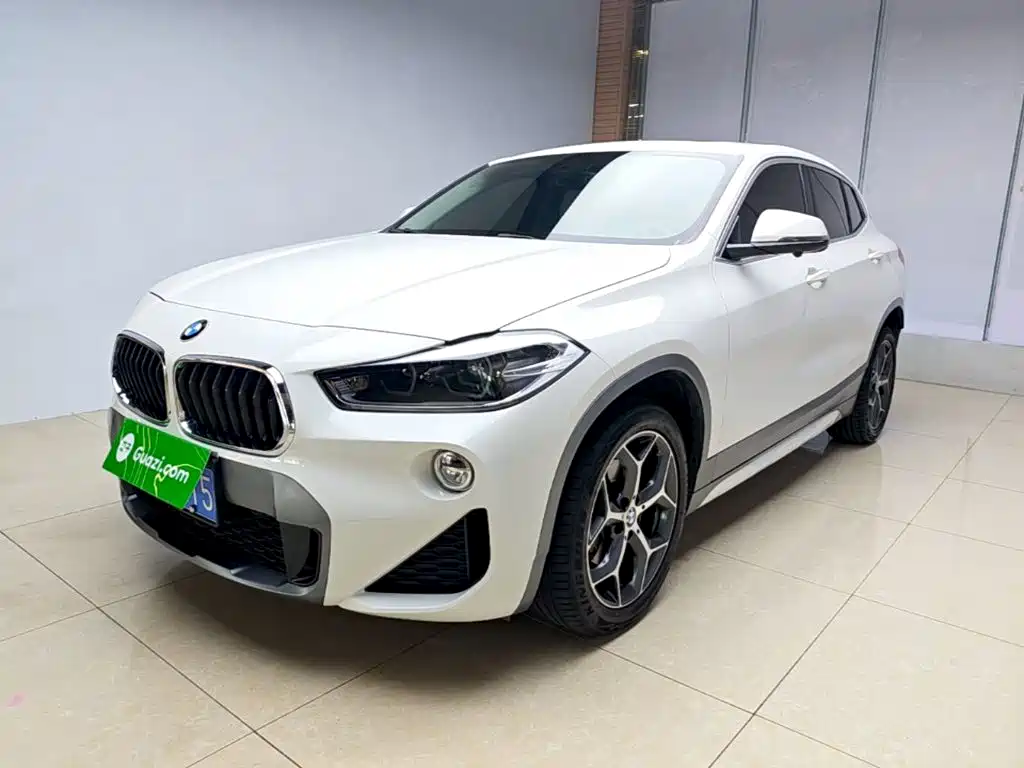 BMW X2 (Import) — миниатюра 2