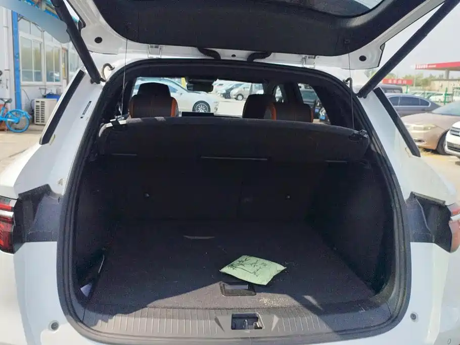 BYD Pro New Energy — миниатюра 4